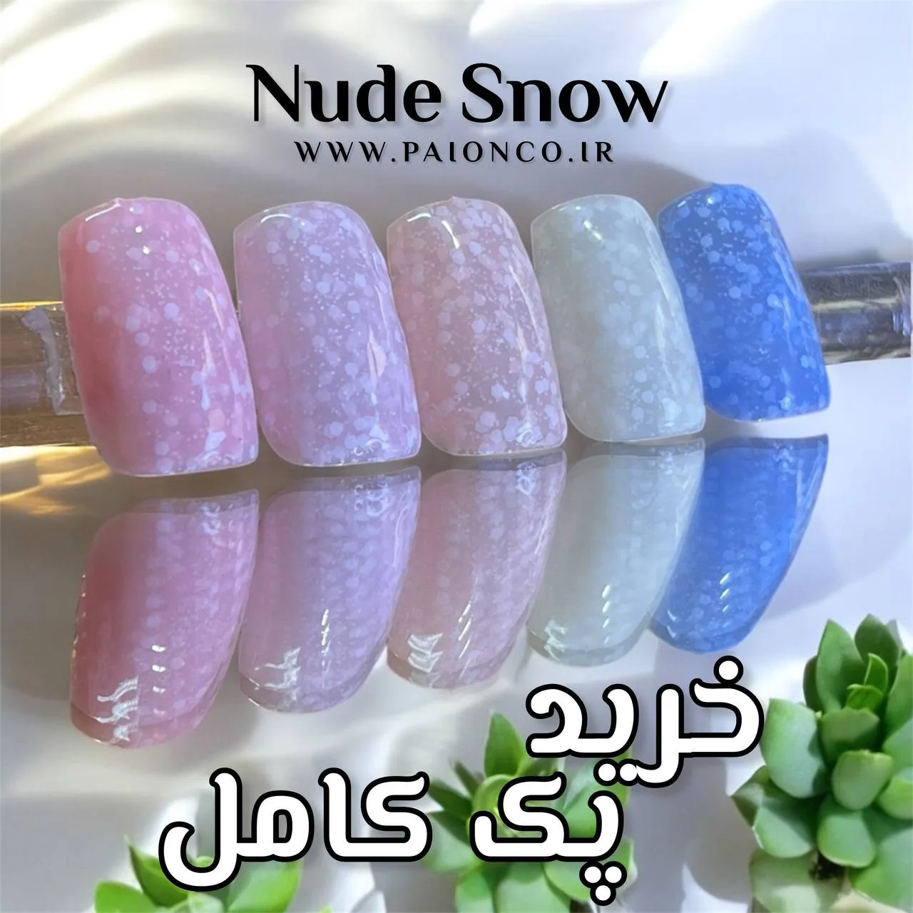 photo_۲۰۲۵-۰۲-۰۱_۱۳-۰۳-۲۷ پک اسنونود - تصویر 1